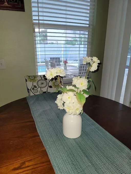Charming Vacation House 3Be 2Ba Solar Heated Pool Tampa Villa